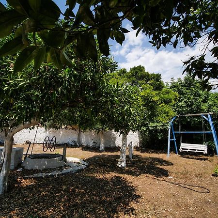אפרטהוטל הימארה Orchard Retreat מראה חיצוני תמונה
